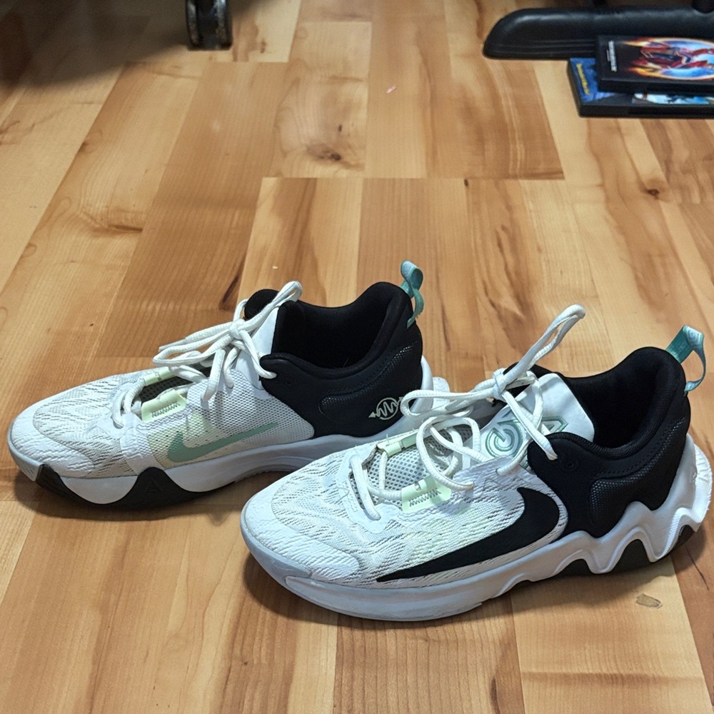Giannis Nike basketball shoes